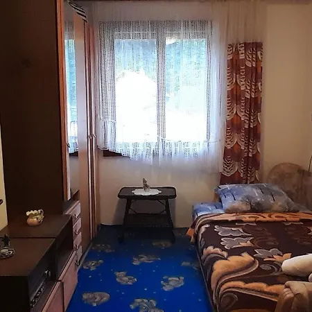 Nada Udobnost I Mir Foca